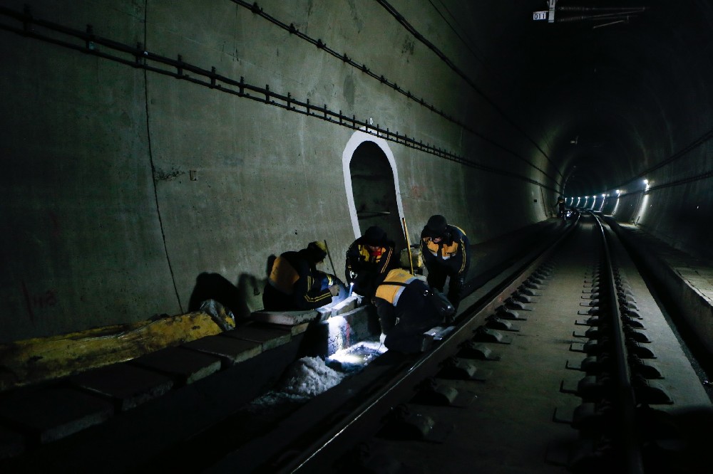 荔波铁路运营隧道病害现状